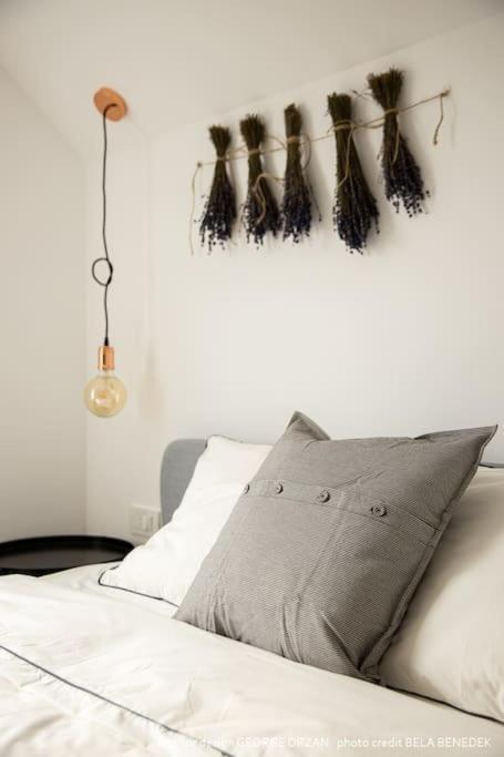 Casa269B - Cozy House With Scandinavian Design Moieciu de Jos Bagian luar foto